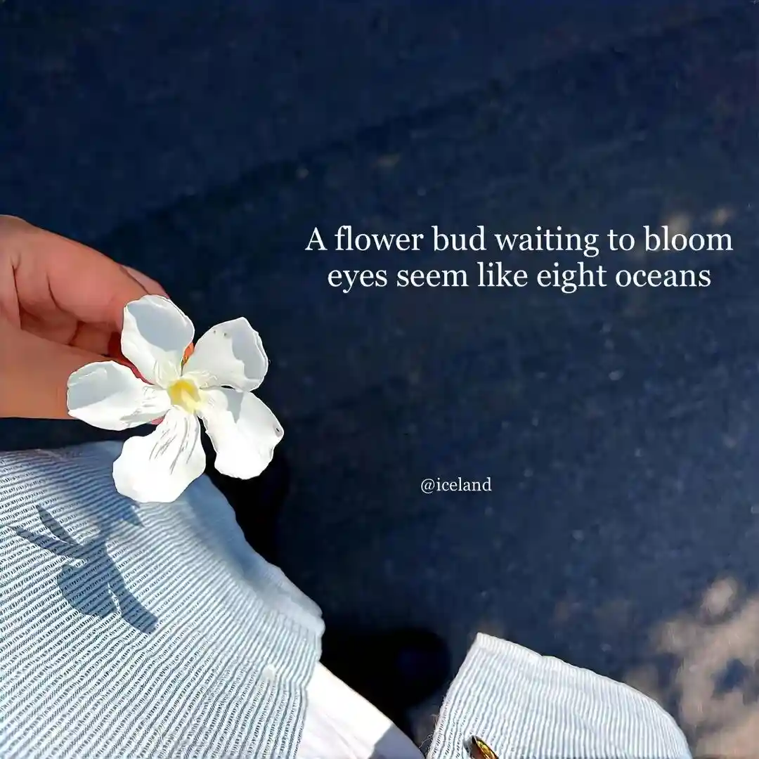 背景图 | 𝑾𝒆𝑪𝒉𝒂𝒕背景图