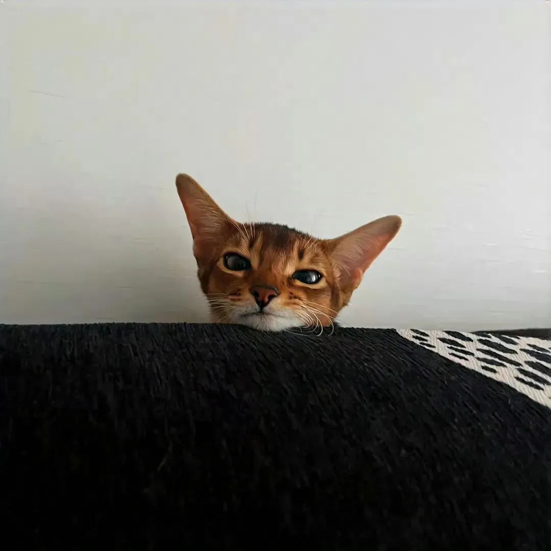 背景图 | 𝑾𝒆𝑪𝒉𝒂𝒕背景图