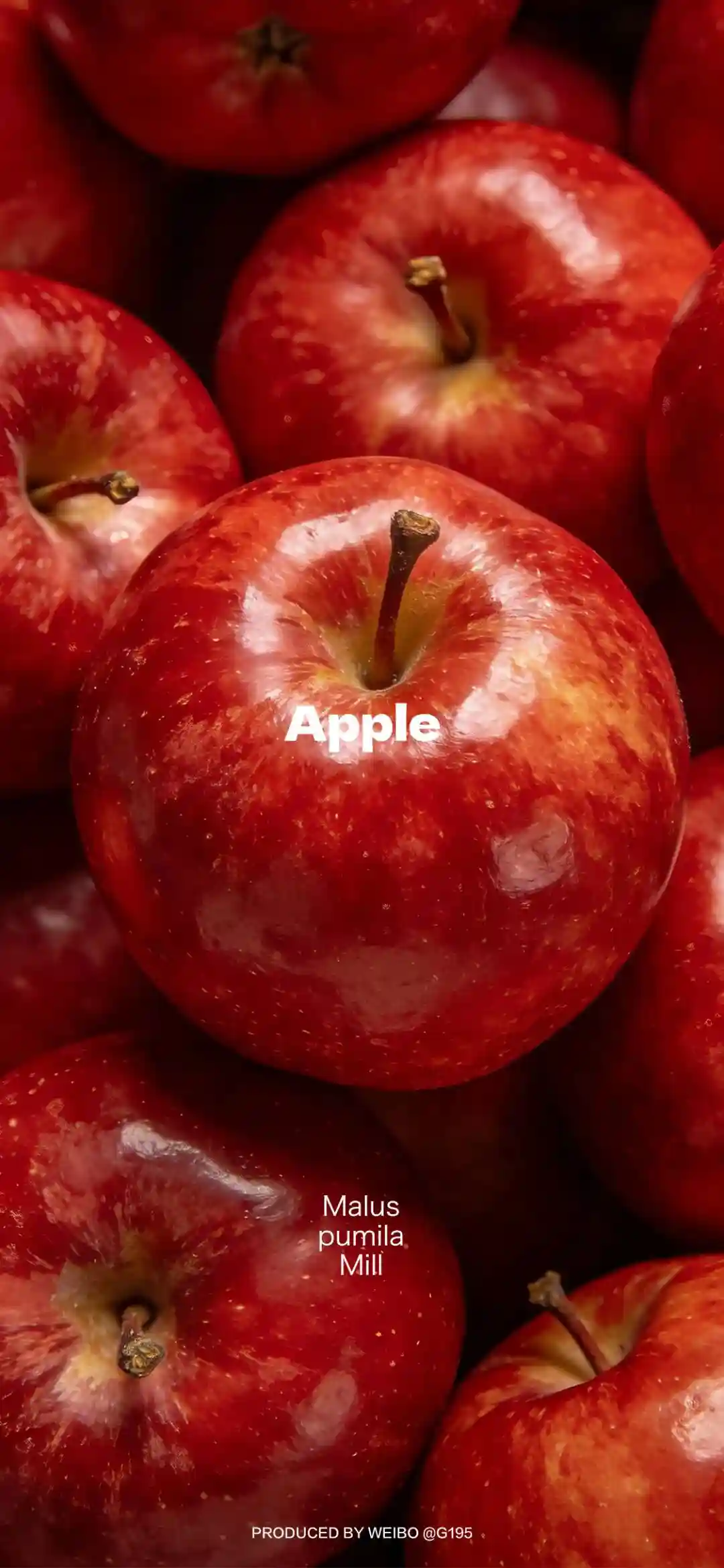 𝐖𝐚𝐥𝐥𝐩𝐚𝐩𝐞𝐫 ​​​​​​​​​​​​​| 4K全面屏超高清壁纸