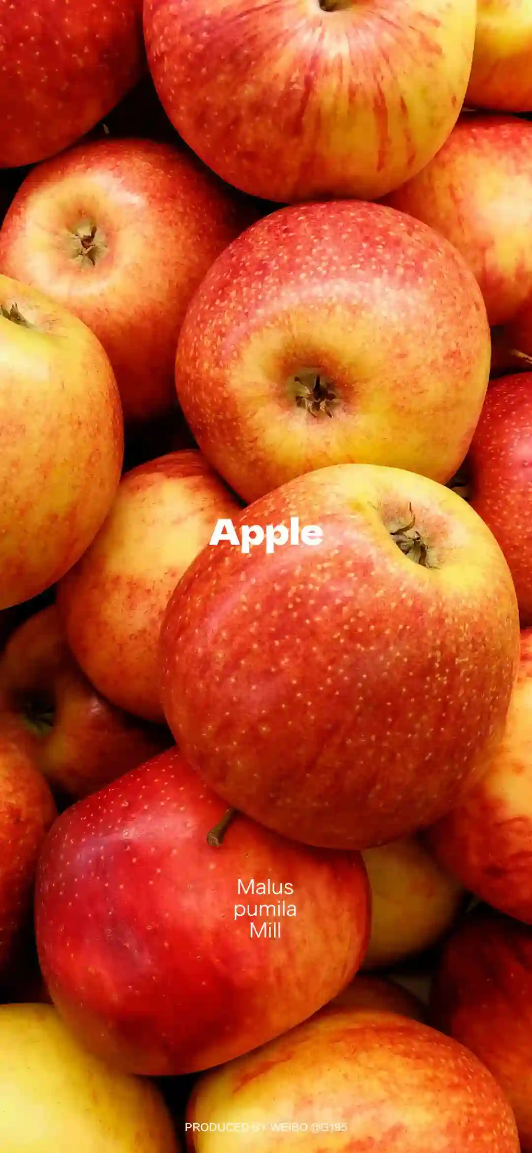 𝐖𝐚𝐥𝐥𝐩𝐚𝐩𝐞𝐫 ​​​​​​​​​​​​​| 4K全面屏超高清壁纸