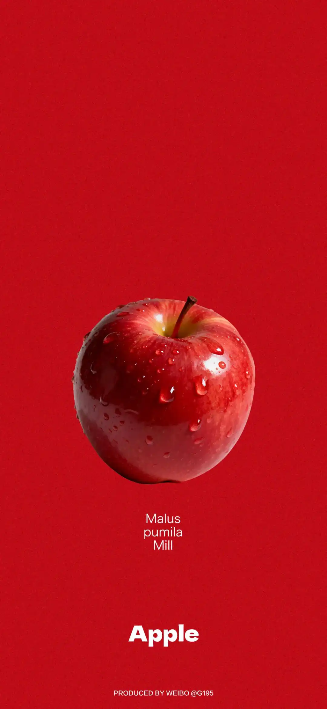 𝐖𝐚𝐥𝐥𝐩𝐚𝐩𝐞𝐫 ​​​​​​​​​​​​​| 4K全面屏超高清壁纸