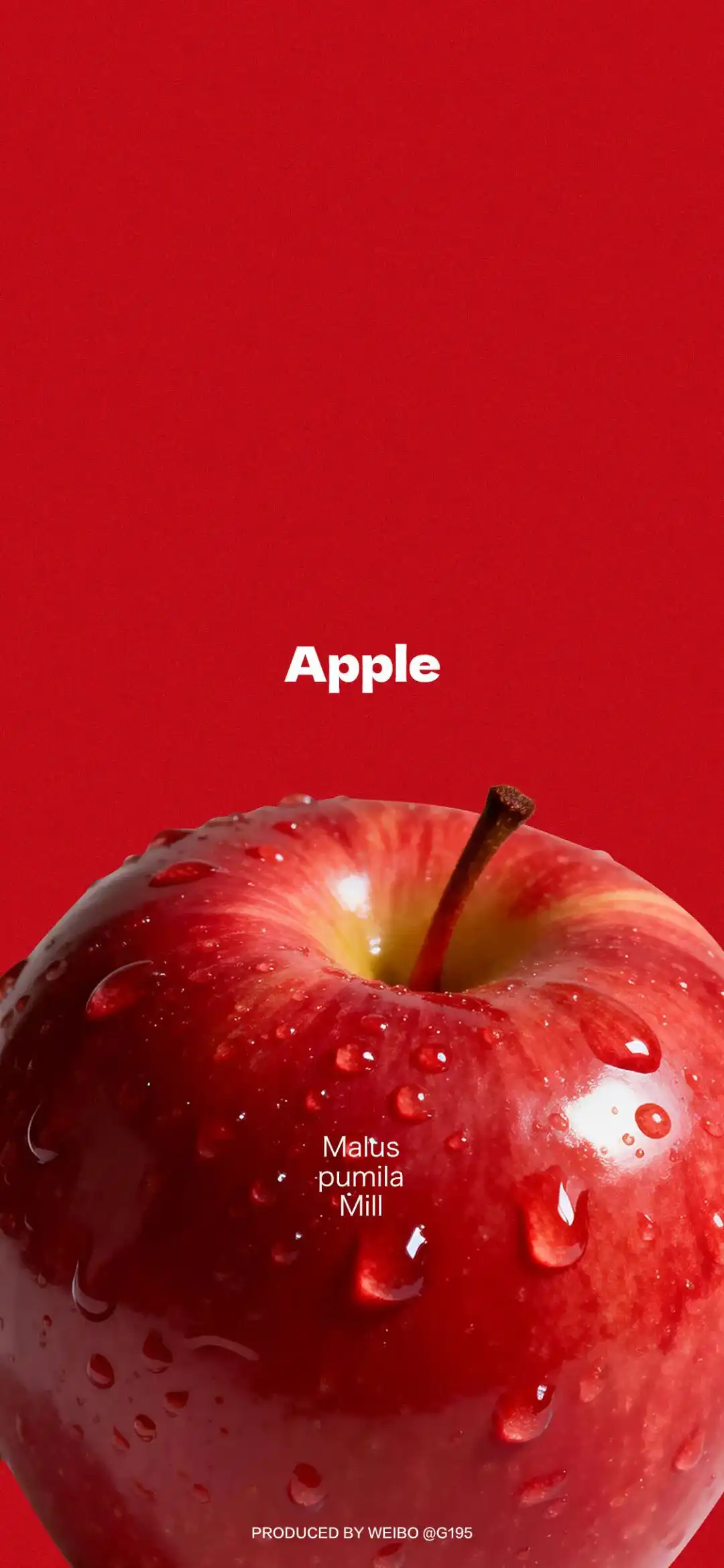 𝐖𝐚𝐥𝐥𝐩𝐚𝐩𝐞𝐫 ​​​​​​​​​​​​​| 4K全面屏超高清壁纸