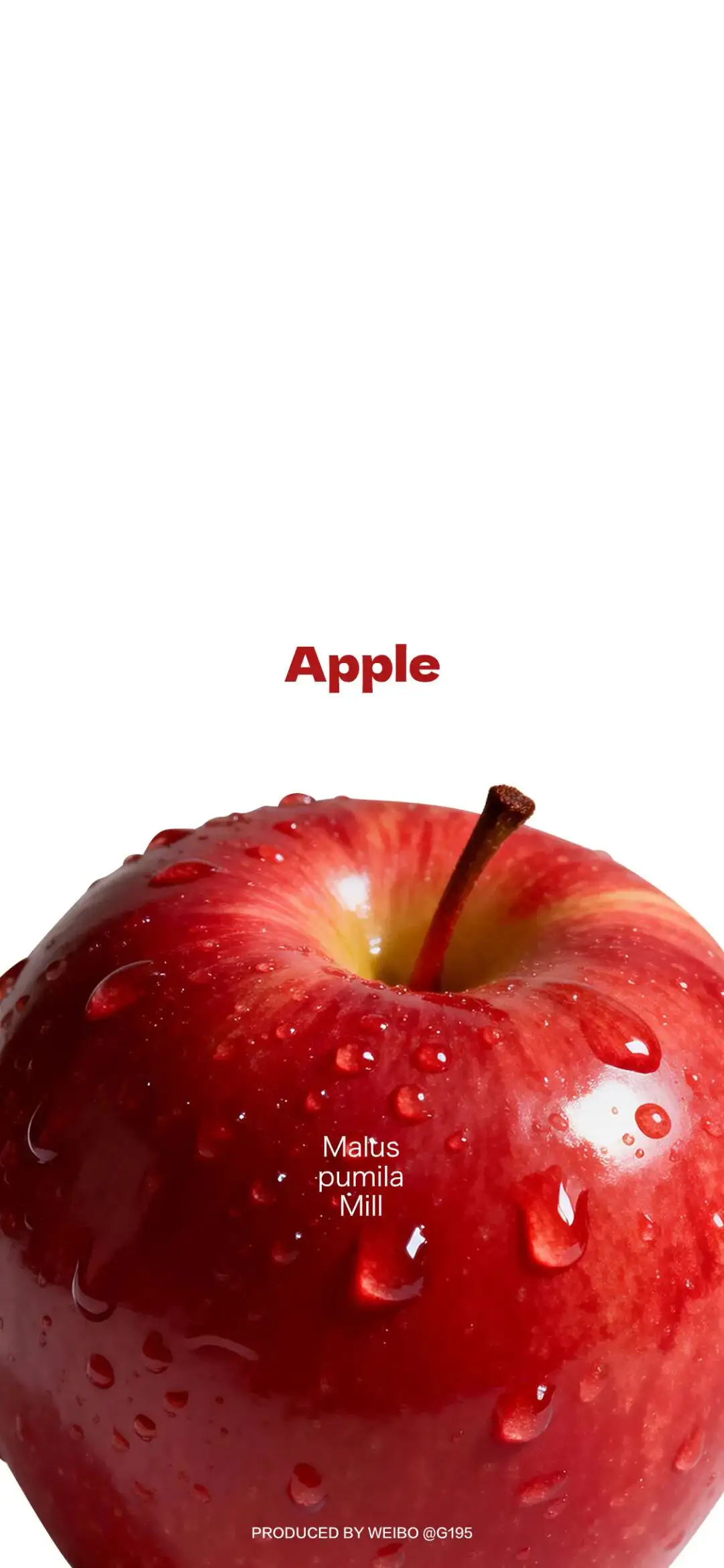 𝐖𝐚𝐥𝐥𝐩𝐚𝐩𝐞𝐫 ​​​​​​​​​​​​​| 4K全面屏超高清壁纸