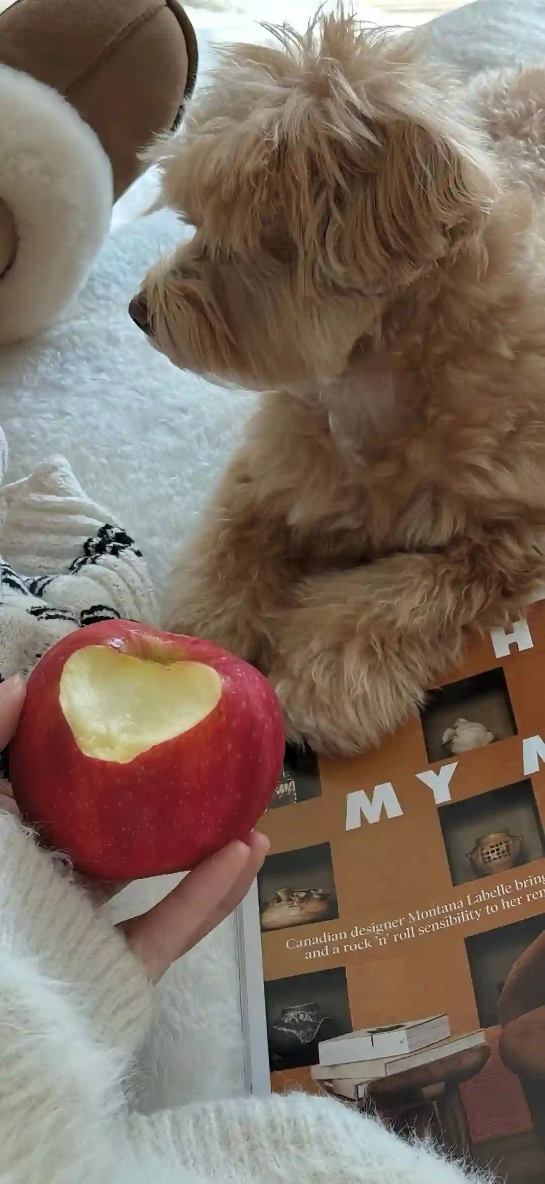 𝐖𝐚𝐥𝐥𝐩𝐚𝐩𝐞𝐫 ​​​​​​​​​​​​​| 4K全面屏超高清壁纸