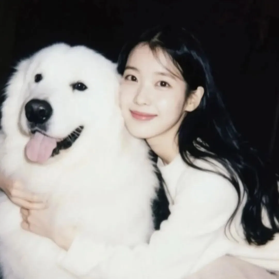 头像｜𝑾𝒆𝑪𝒉𝒂𝒕头像40张