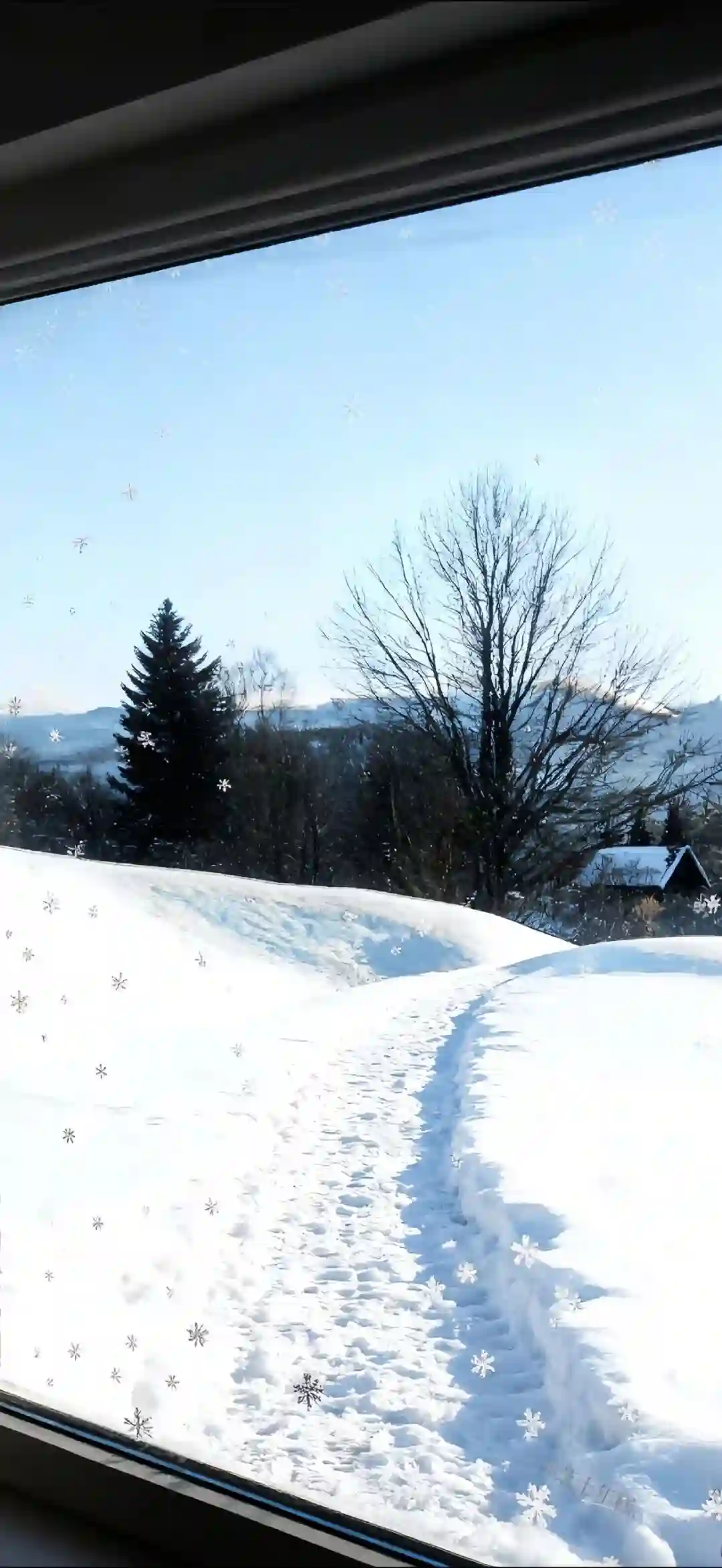 壁纸 ​​​​​​​​​​​​​| 4K全面屏超高清壁纸