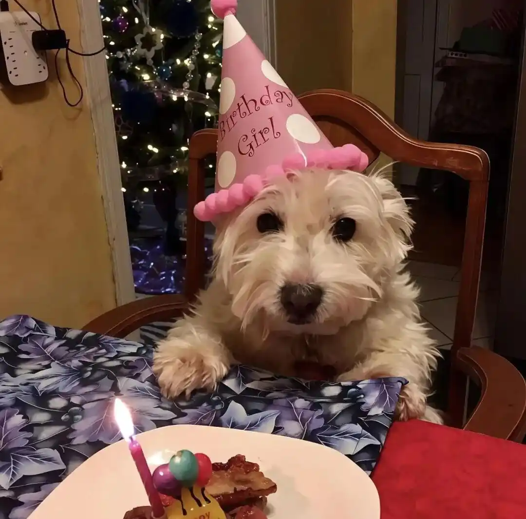 背景图 | 𝑾𝒆𝑪𝒉𝒂𝒕背景图