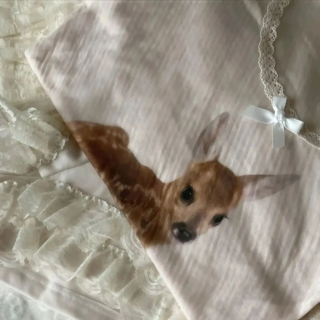 背景图 | 𝑾𝒆𝑪𝒉𝒂𝒕背景图