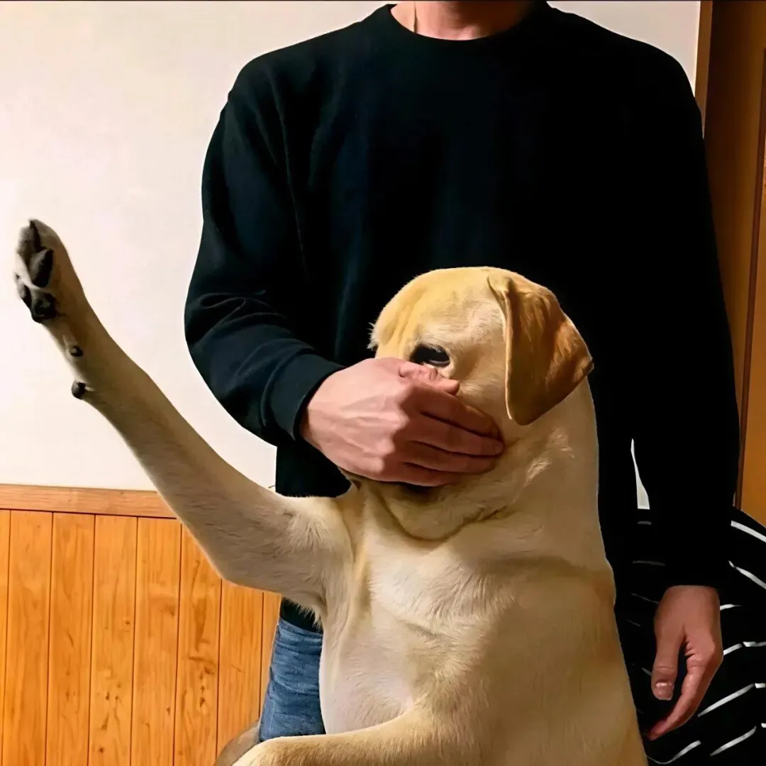 头像｜想和爱夫换的情头