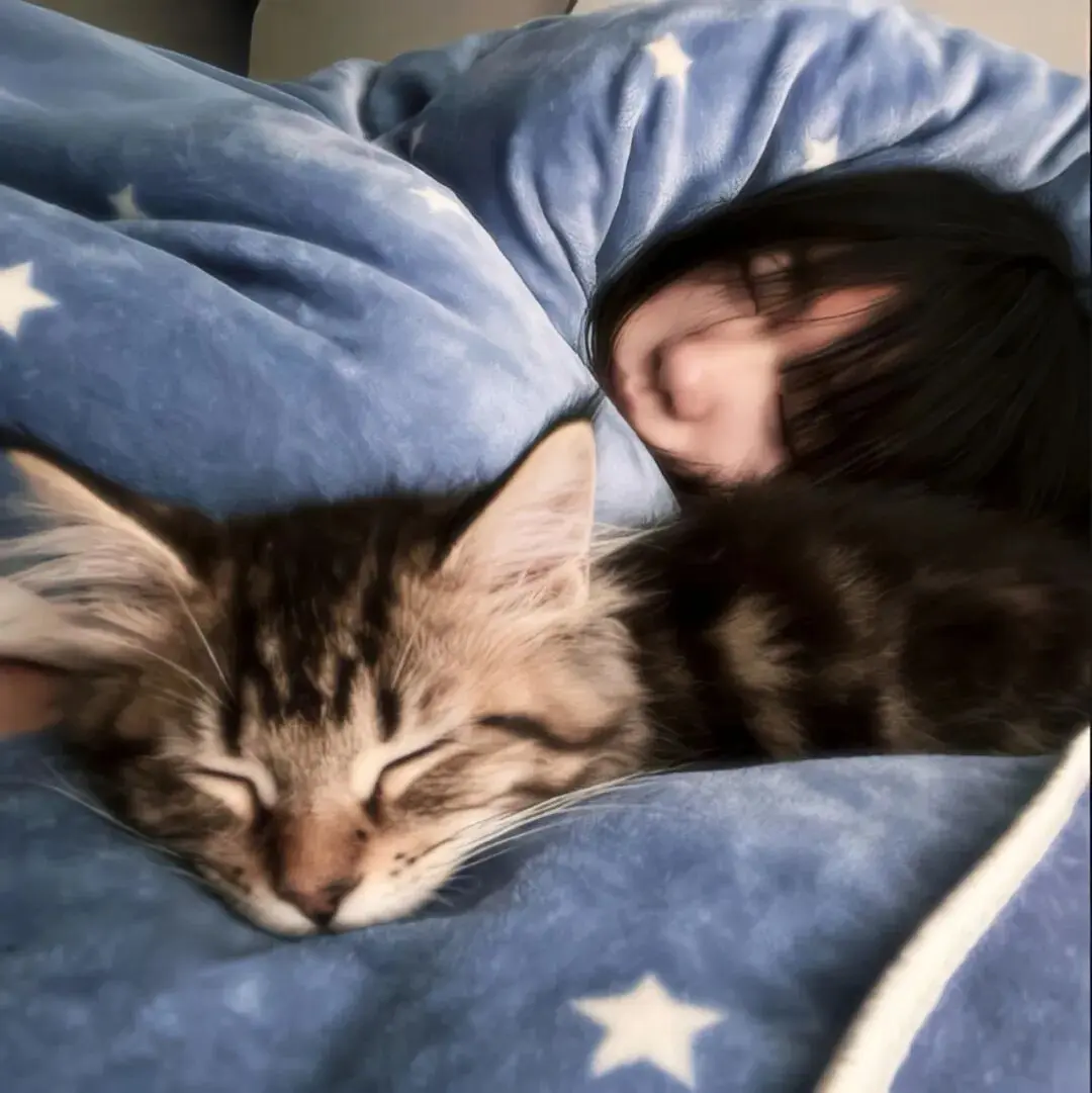 头像｜看了就想换的微信头像