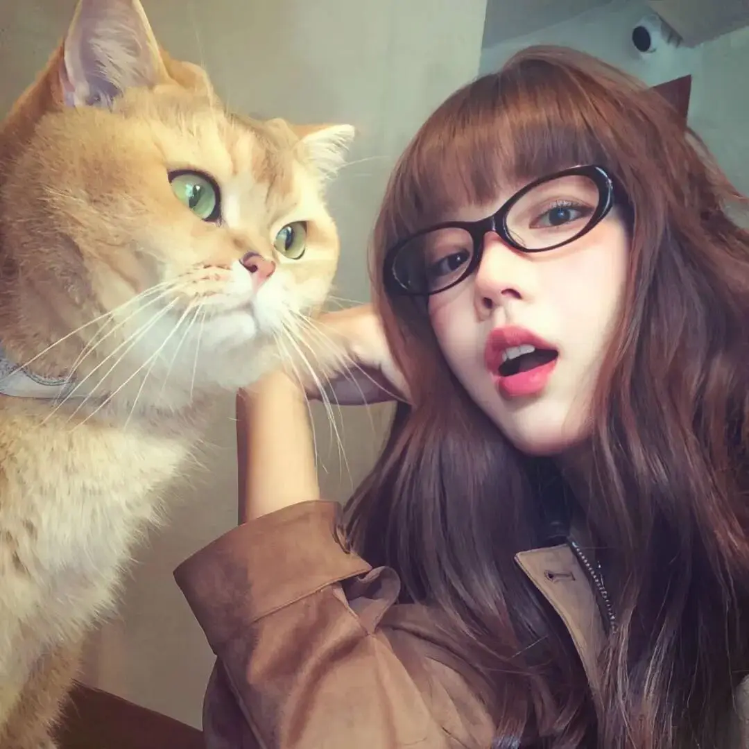 头像｜看了就想换的微信头像