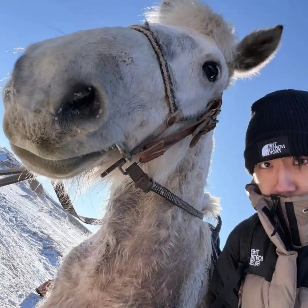头像｜看了就想换的微信头像