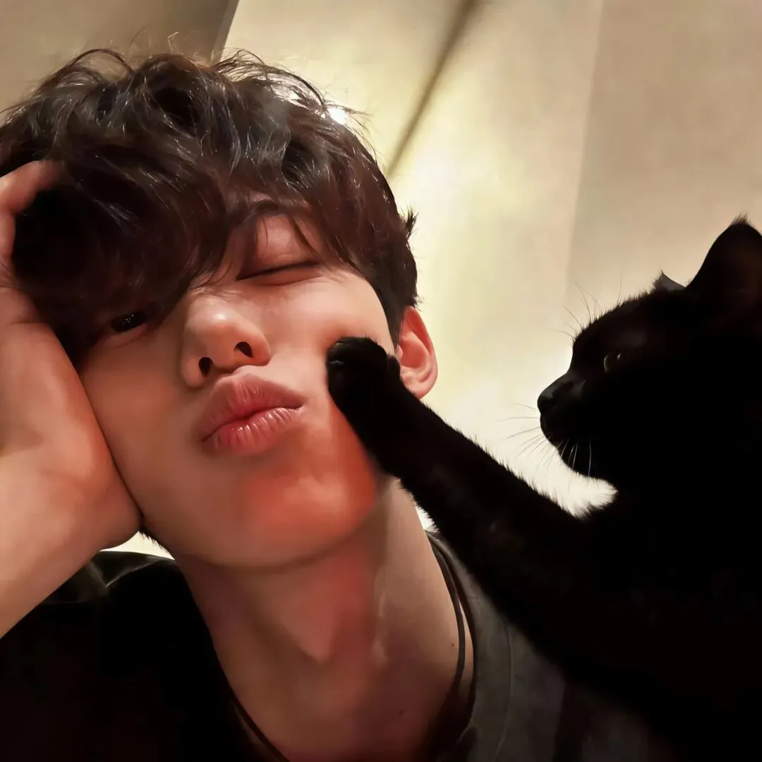 头像｜妻宝头像