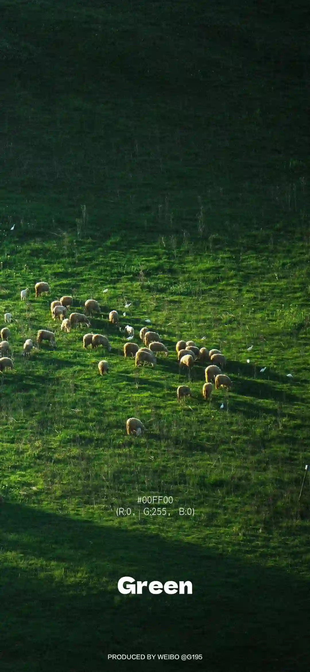 壁纸 ​​​​​​​​​​​​​| 4K全面屏超高清壁纸