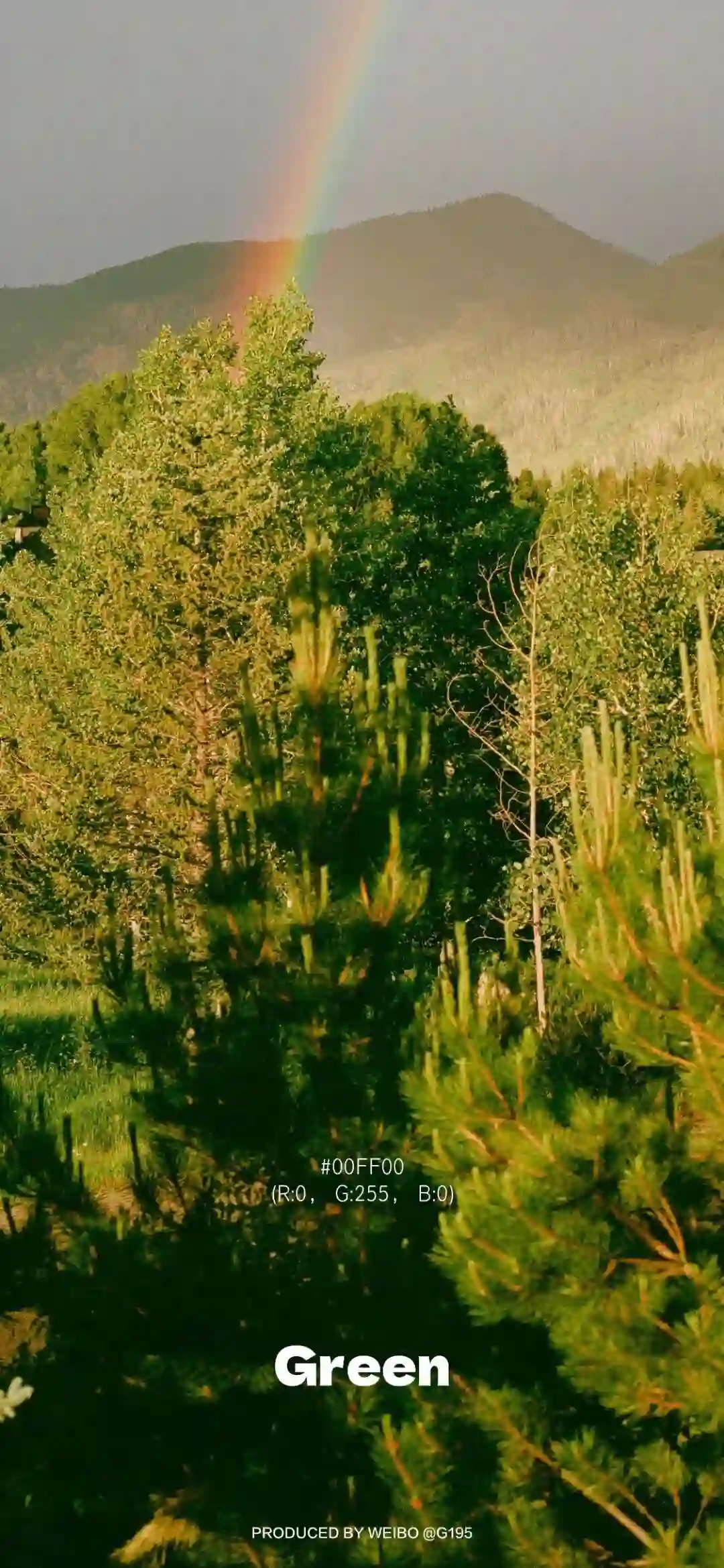 壁纸 ​​​​​​​​​​​​​| 4K全面屏超高清壁纸