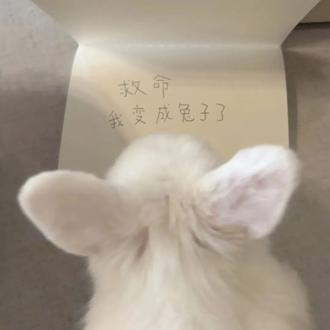 背景图 | 𝑾𝒆𝑪𝒉𝒂𝒕背景图