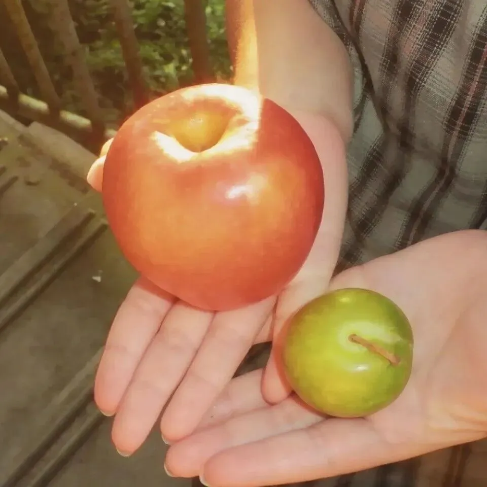 背景图 | 𝑾𝒆𝑪𝒉𝒂𝒕背景图