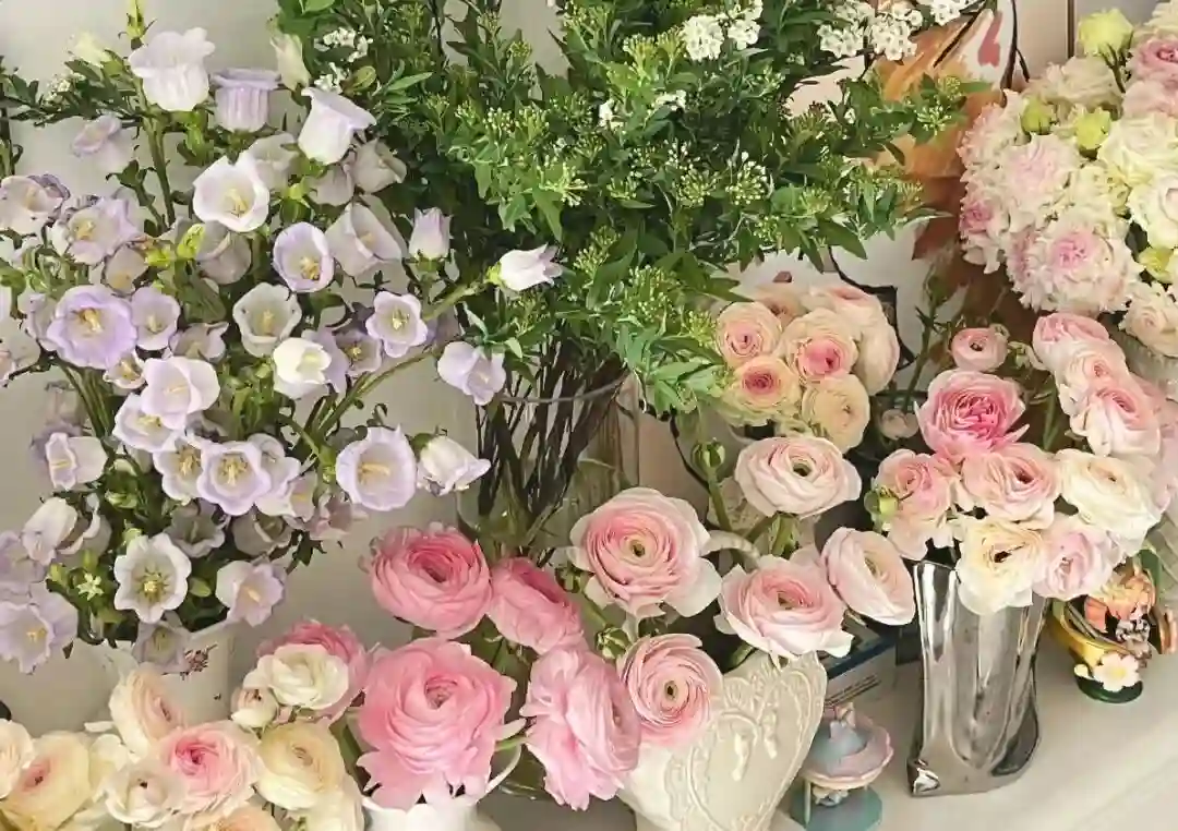 壁纸 ​​​​​​​​​​​​​| 4K全面屏超高清壁纸