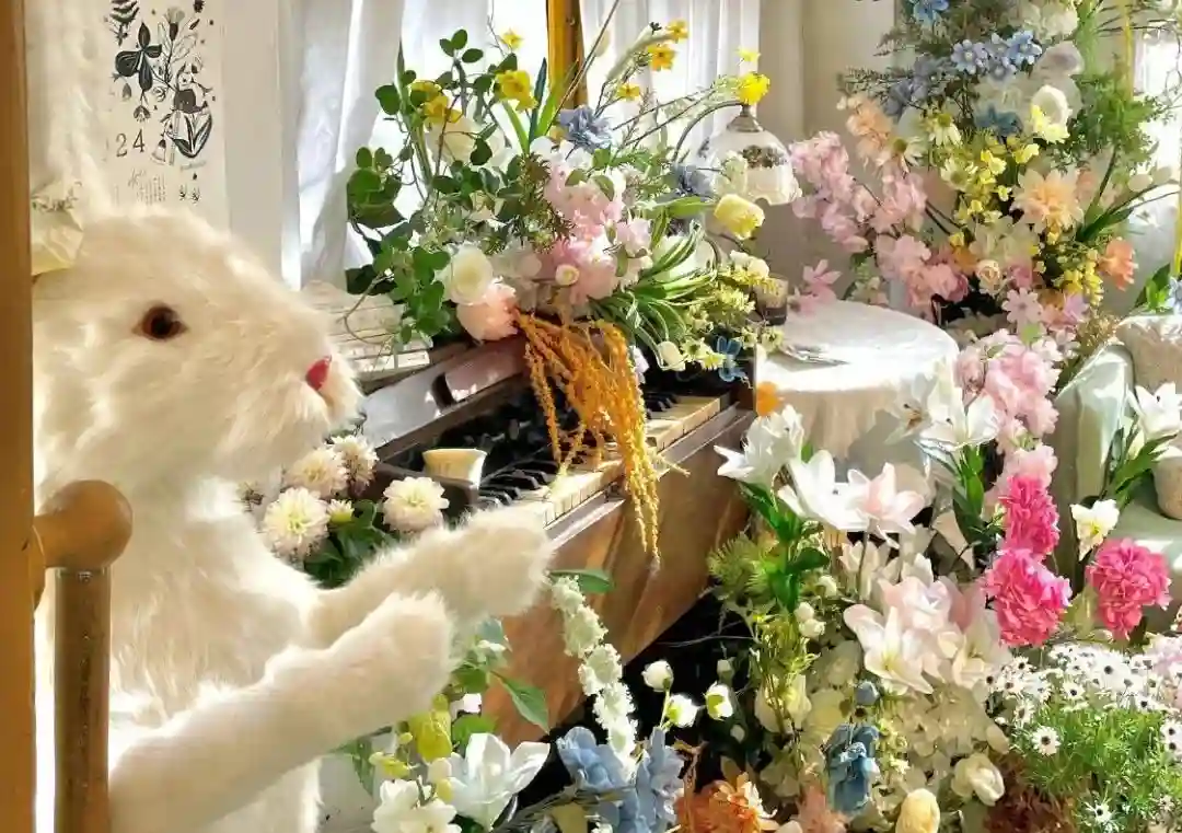 壁纸 ​​​​​​​​​​​​​| 4K全面屏超高清壁纸