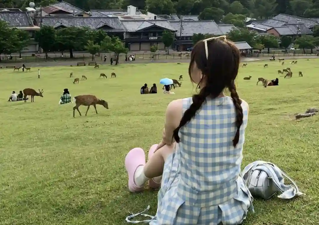 壁纸 ​​​​​​​​​​​​​| 4K全面屏超高清壁纸