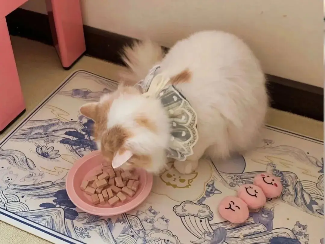 壁纸 ​​​​​​​​​​​​​| 4K全面屏超高清壁纸