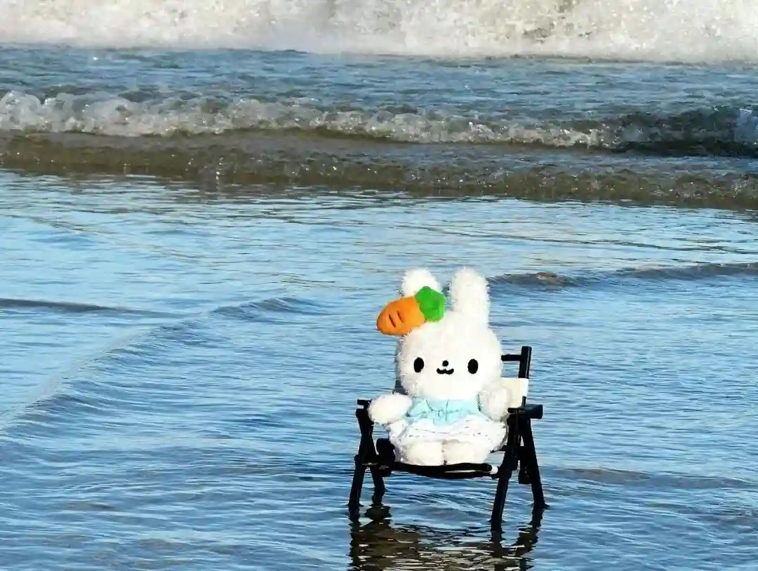 壁纸 ​​​​​​​​​​​​​| 4K全面屏超高清壁纸