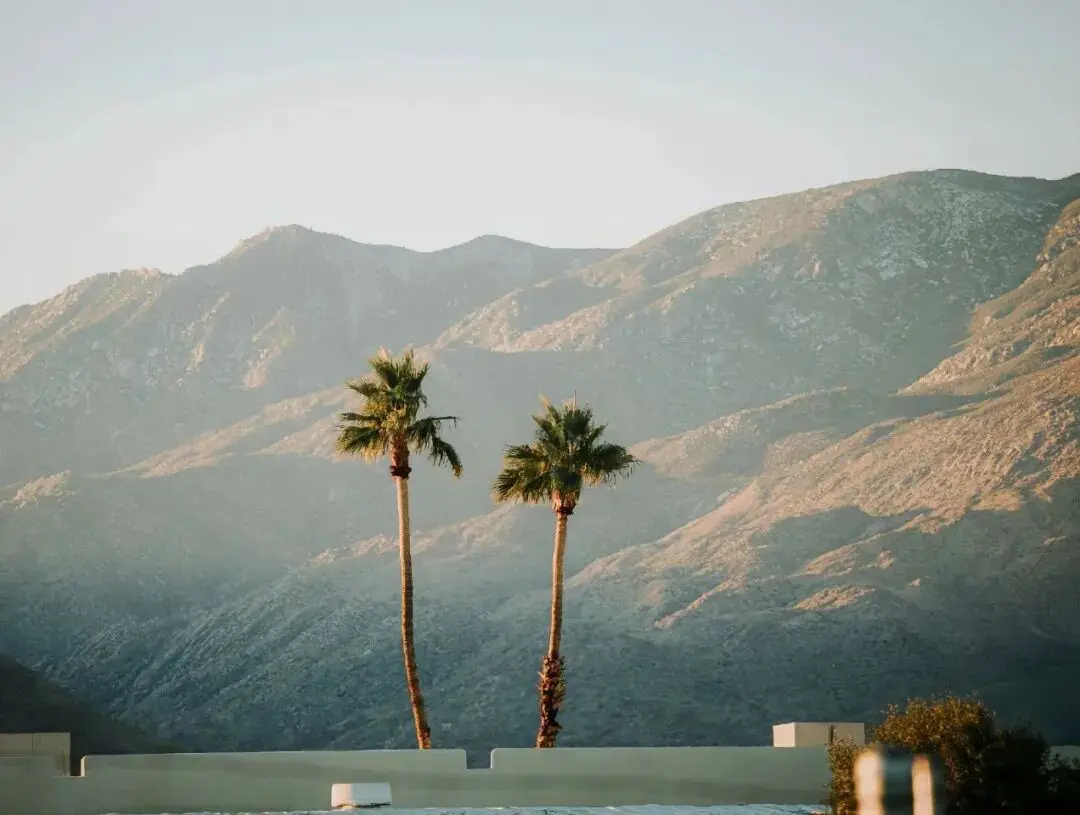 壁纸 ​​​​​​​​​​​​​| 4K全面屏超高清壁纸