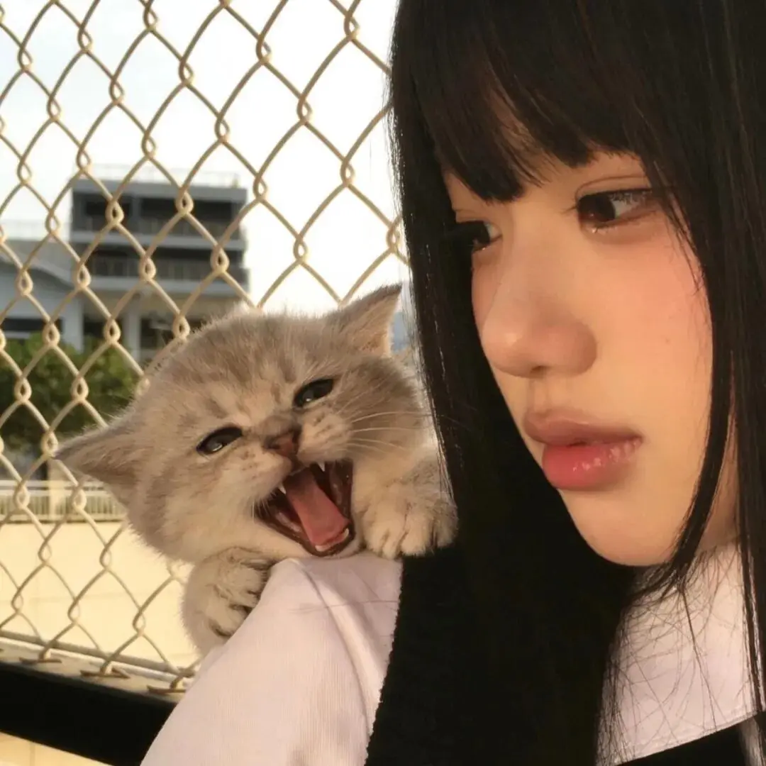 头像｜小众风格头像