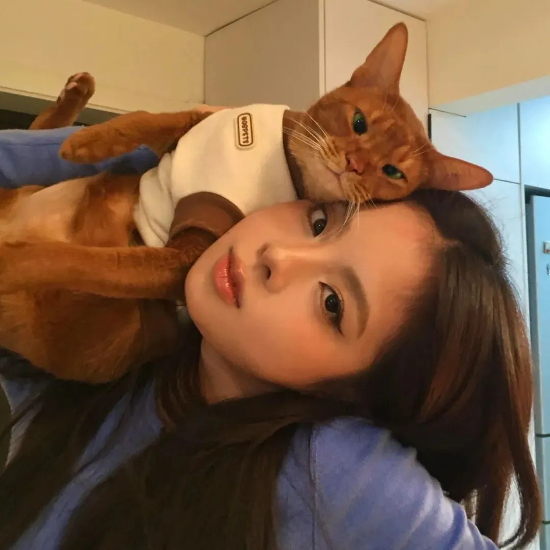 头像｜小众风格头像