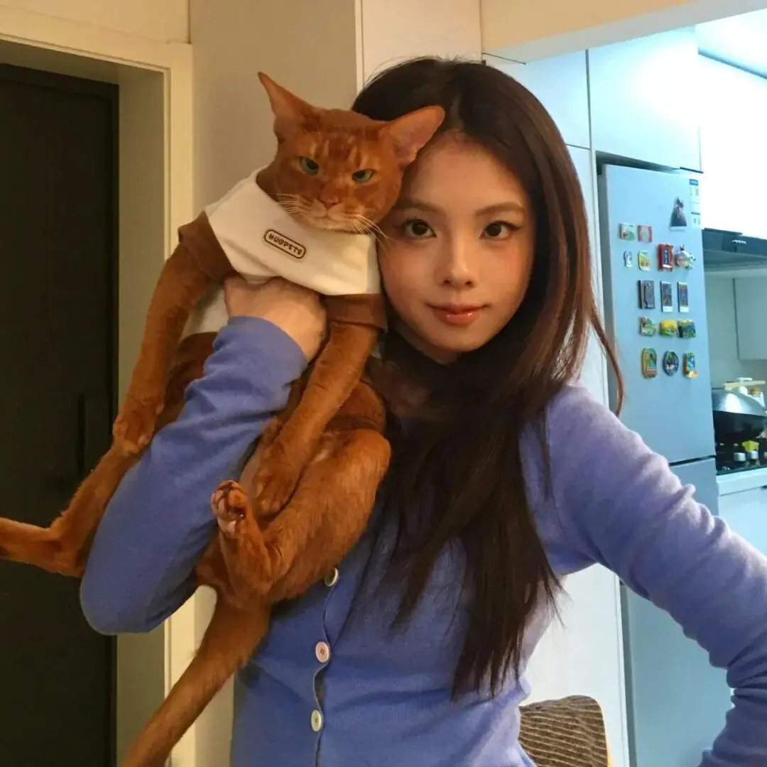 头像｜小众风格头像