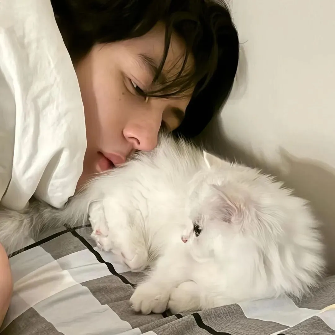 头像｜40张𝑾𝒆𝑪𝒉𝒂𝒕头像