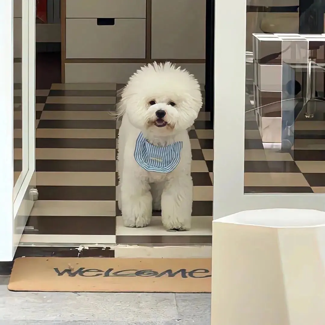 背景图 | 𝑾𝒆𝑪𝒉𝒂𝒕背景图