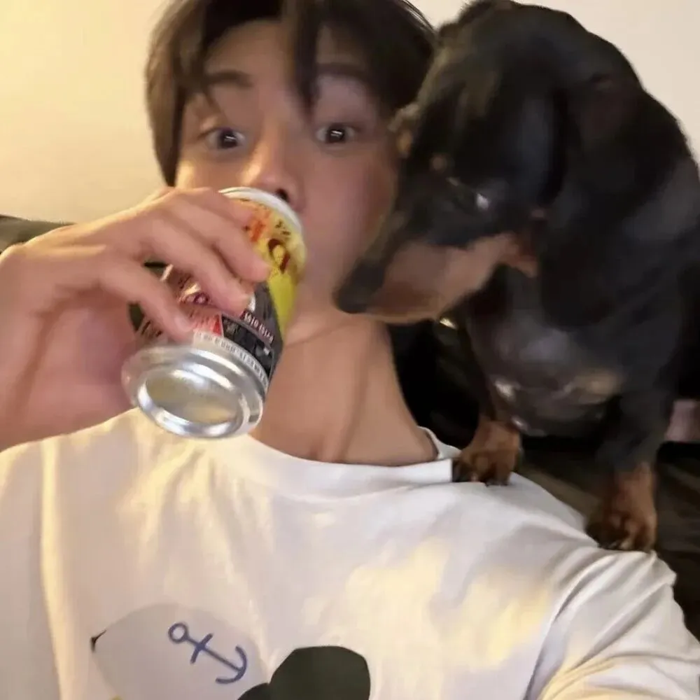 头像｜𝟮𝟬𝟮𝟲你的微信头像该换了